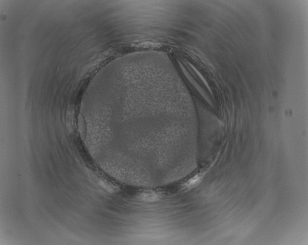 X0000074010416200609111628