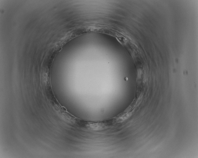 X0000074010417200609111628