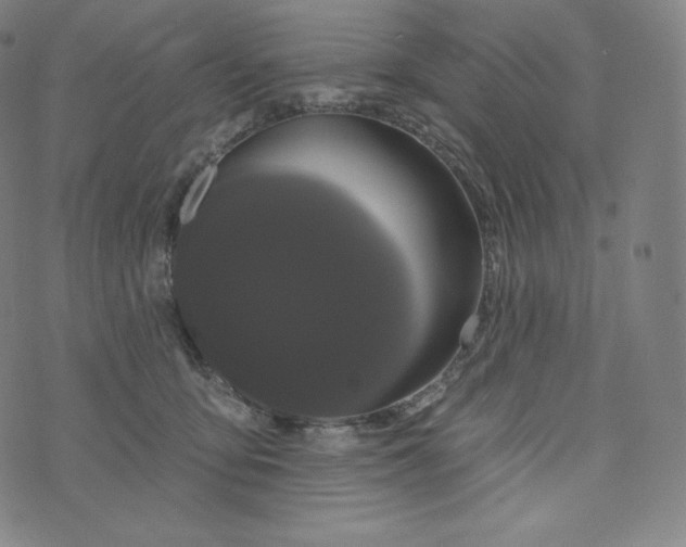 X0000074010419200609111628