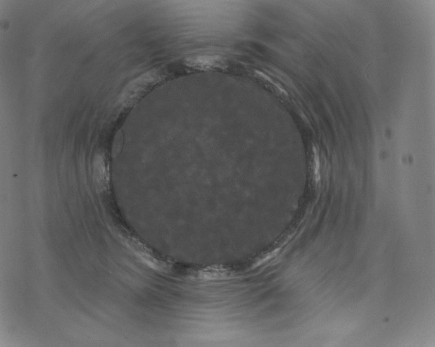 X0000074010420200609111628