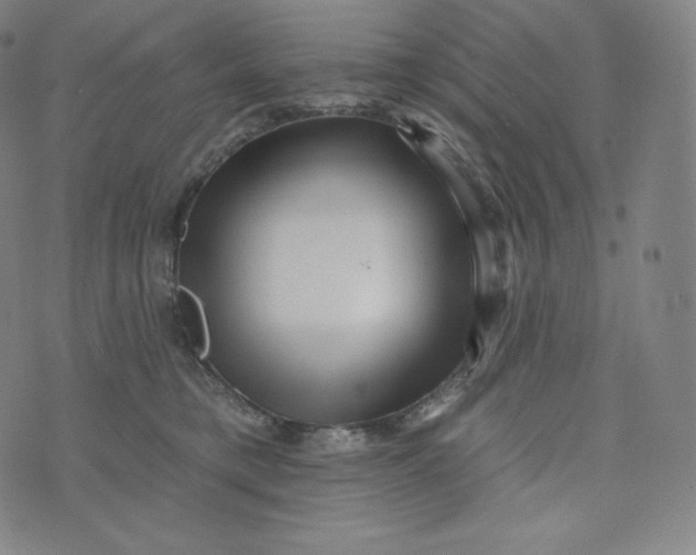 X0000074010421200609111628