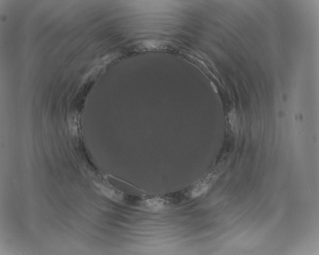 X0000074010423200609111628