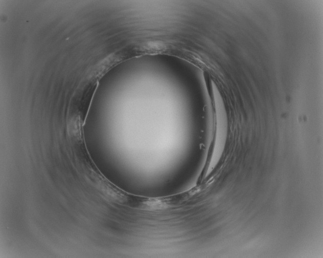 X0000074010425200609111628