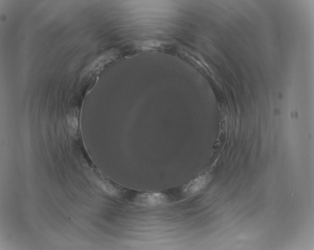 X0000074010427200609111628