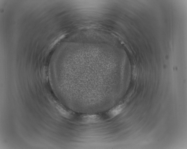 X0000074010428200609111628