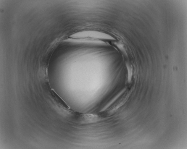 X0000074010429200609111628