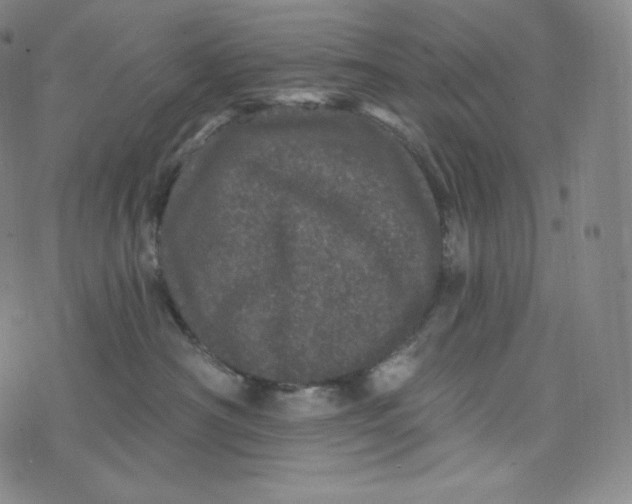 X0000074010430200609111628