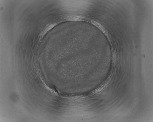 X0000074010433200609111627