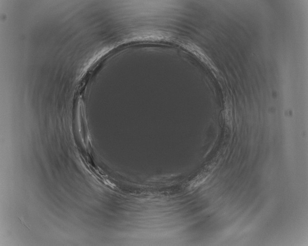 X0000074010434200609111627