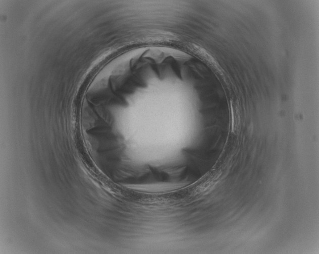 X0000074010435200609111627