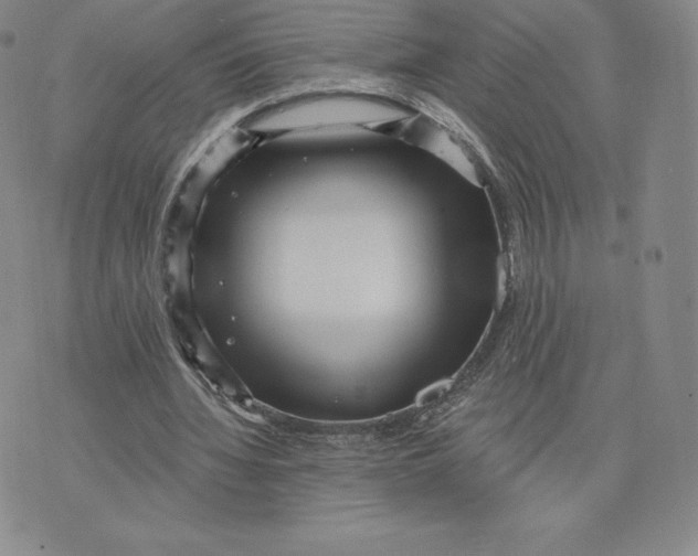 X0000074010436200609111627