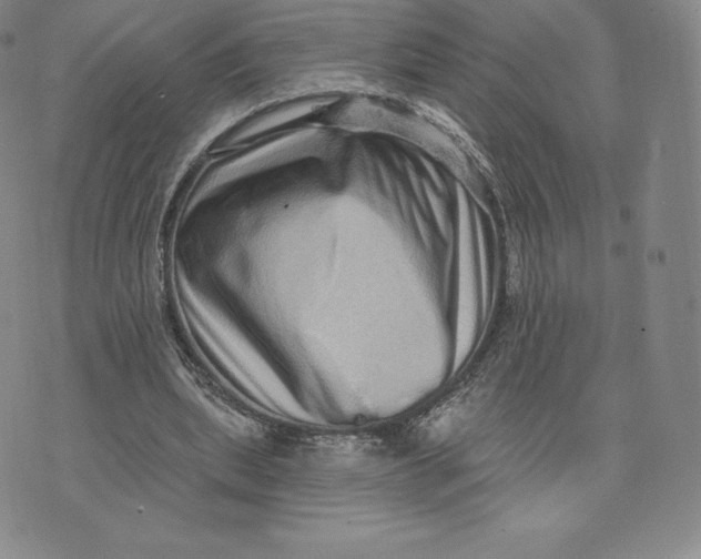 X0000074010439200609111627