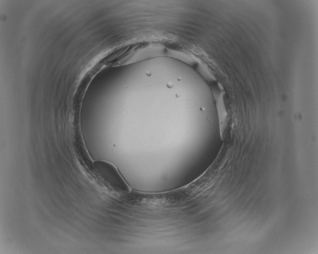 X0000074010440200609111627