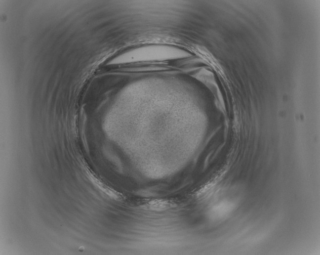 X0000074010441200609111627