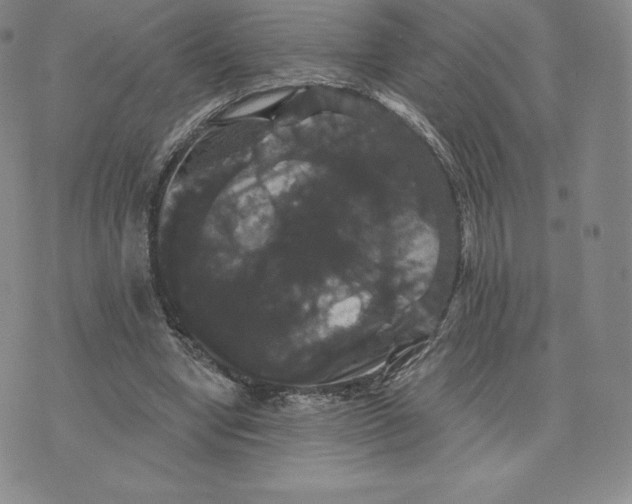 X0000074010442200609111628