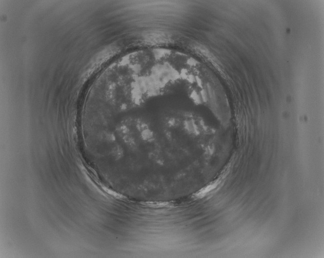 X0000074010443200609111628