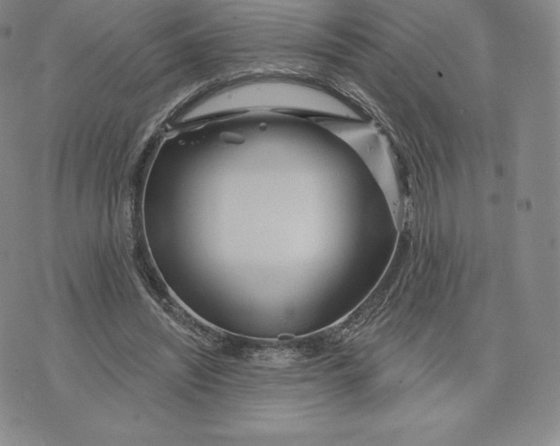 X0000074010444200609111628