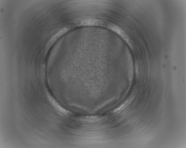 X0000074010445200609111628