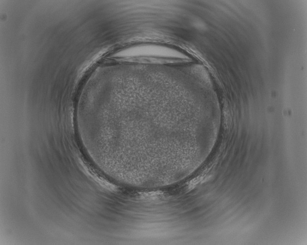 X0000074010446200609111628