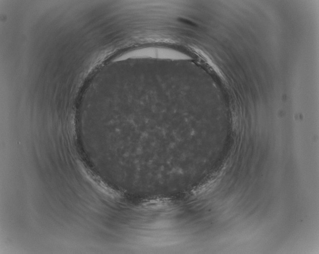 X0000074010447200609111628