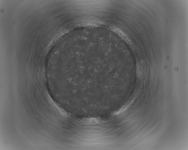 X0000074010449200609111628