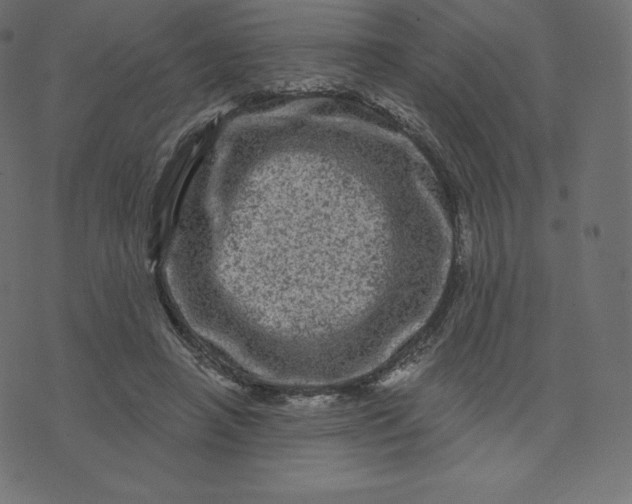 X0000074010450200609111628