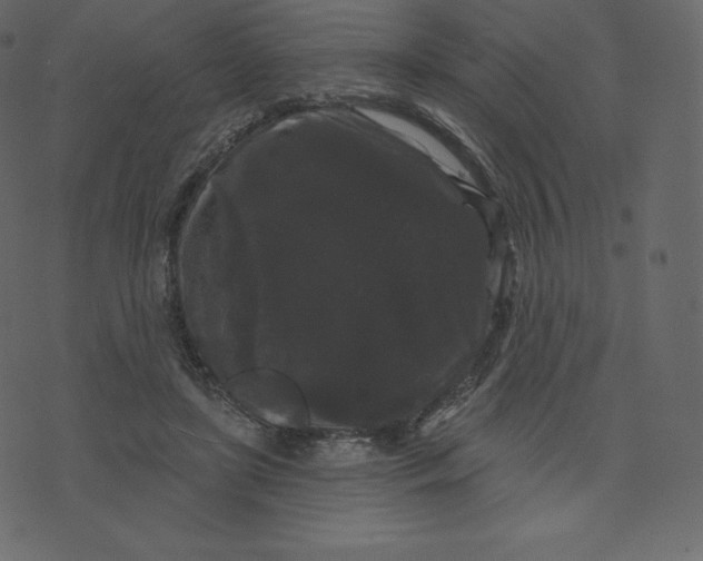 X0000074010451200609111628