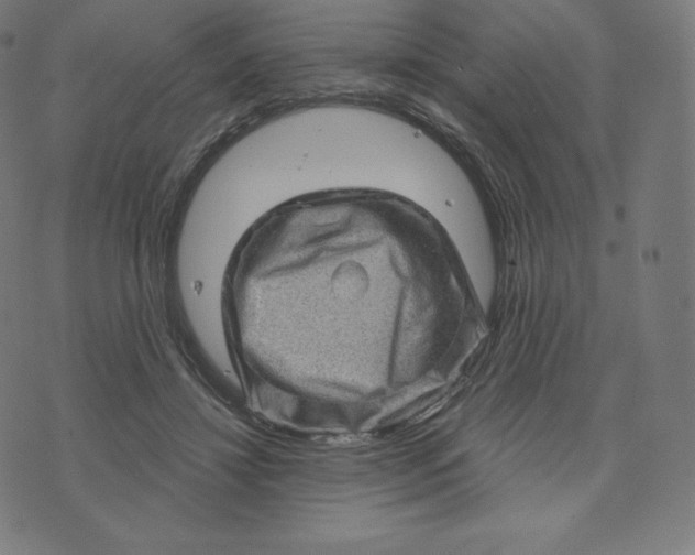 X0000074010452200609111628