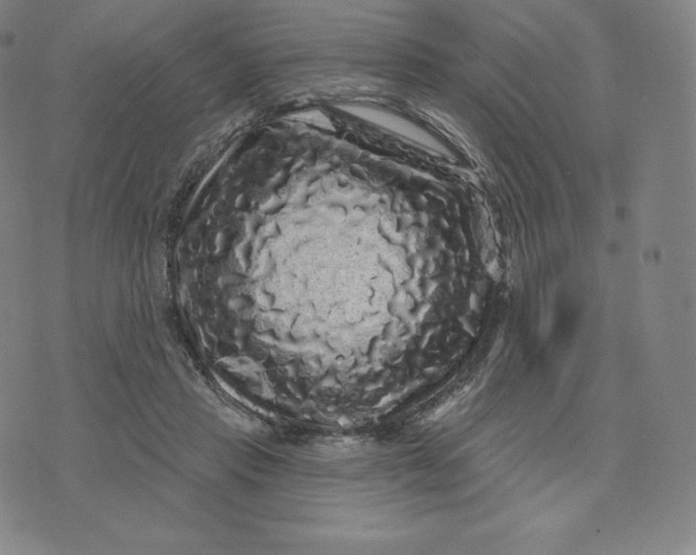 X0000074010453200609111628