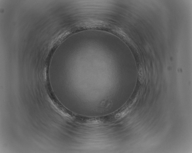 X0000074010454200609111628