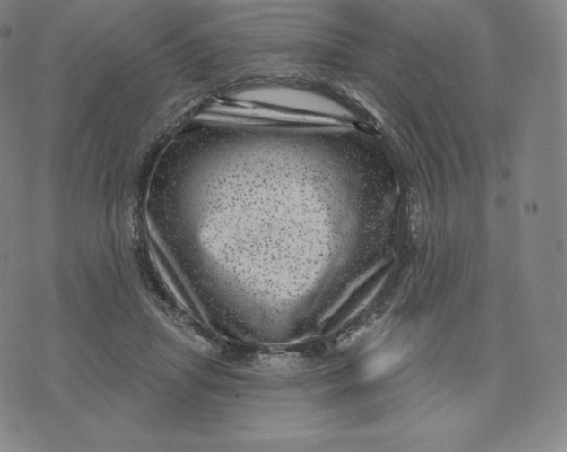 X0000074010455200609111628