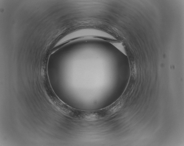 X0000074010456200609111628