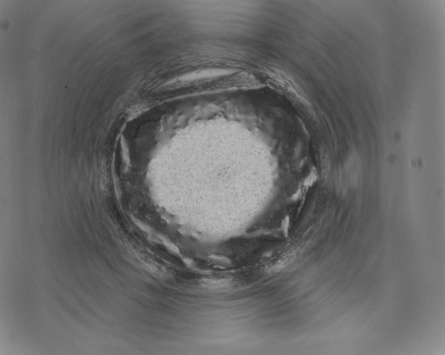 X0000074010457200609111628