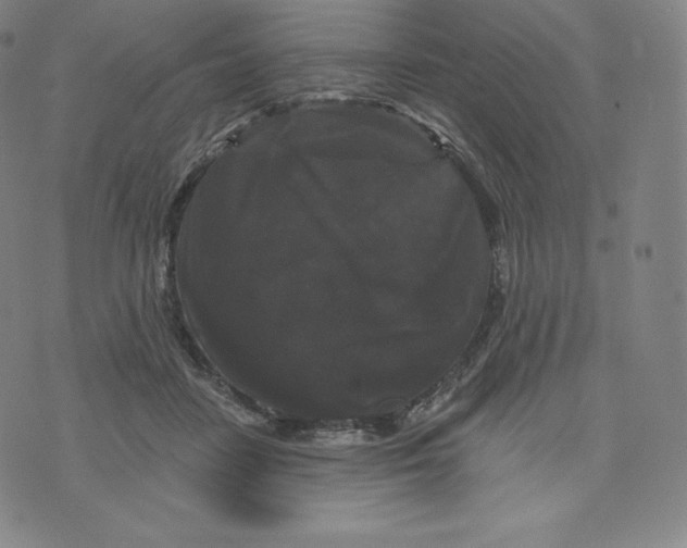 X0000074010458200609111628