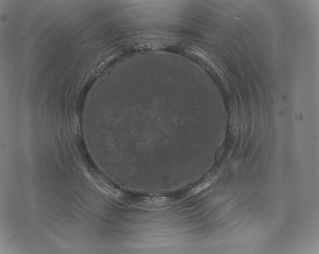 X0000074010459200609111628