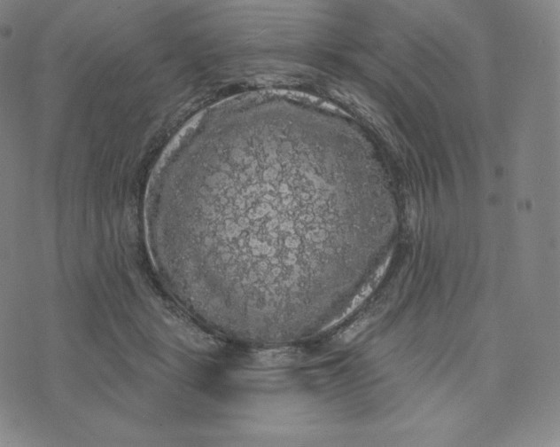 X0000074010461200609111628