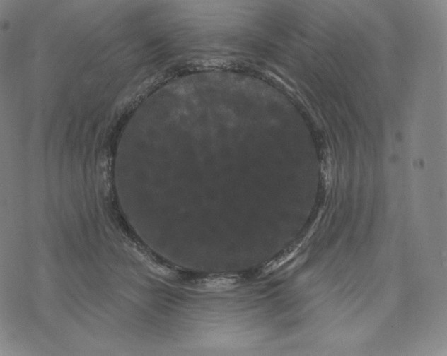 X0000074010462200609111628