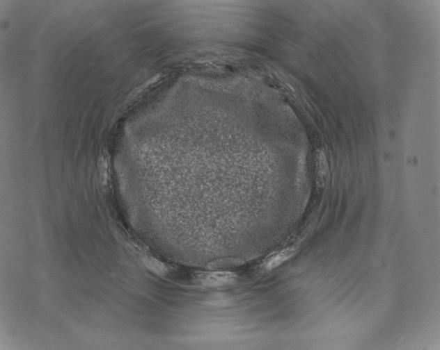 X0000074010463200609111628