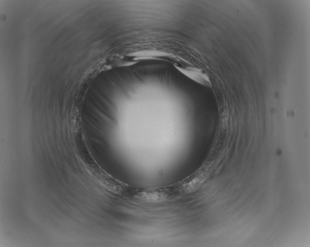 X0000074010464200609111628