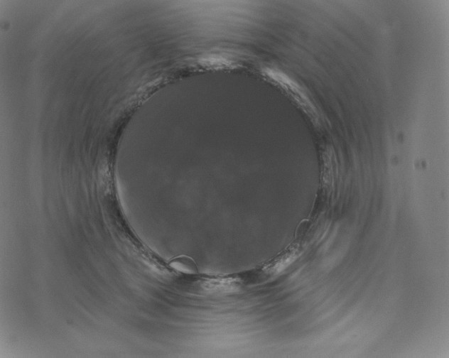 X0000074010465200609111628