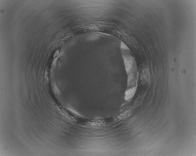 X0000074010466200609111628