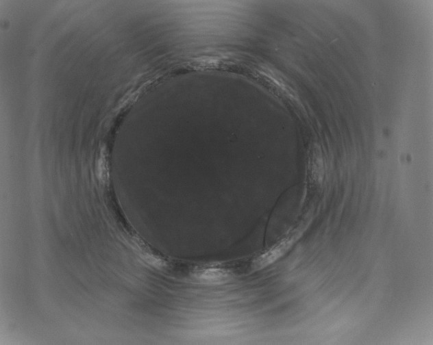 X0000074010467200609111628