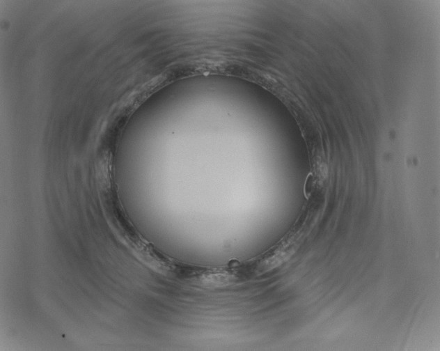 X0000074010468200609111628