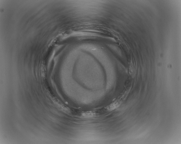 X0000074010470200609111628