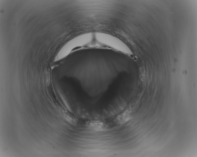 X0000074010471200609111628