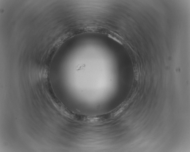 X0000074010472200609111628