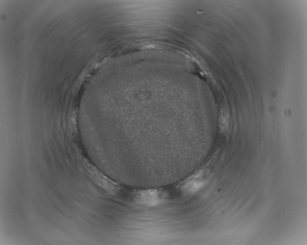 X0000074010473200609111628