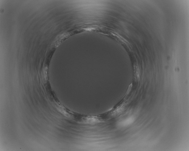 X0000074010475200609111628