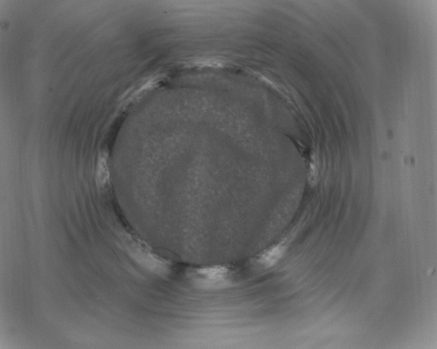 X0000074010478200609111628