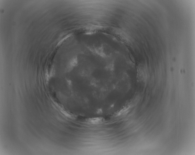 X0000074010479200609111628